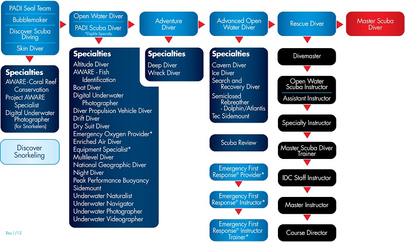 PADI Diving Courses Information Chart
