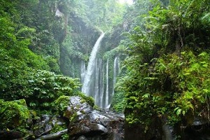 Bali Water Falls