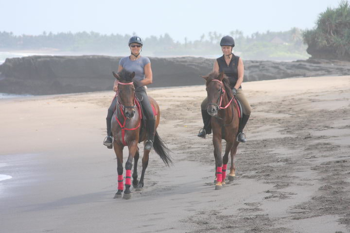Bali Horse Riding from $20 AUD