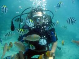 Bali Diving Snorkling